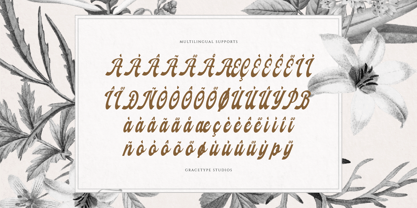 Fardiale Font Poster 11