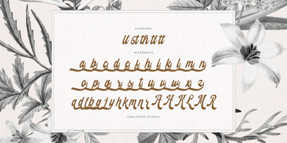 Fardiale Font Poster 12
