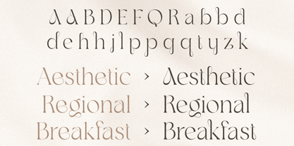 Avelior Font Poster 2