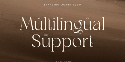 Avelior Font Poster 6
