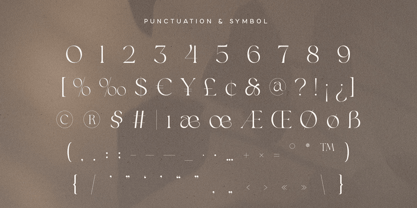 Avelior Font Poster 11
