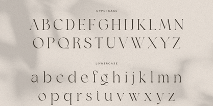 Avelior Font Poster 3