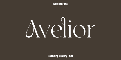 Avelior Font Poster 1
