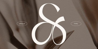 Avelior Font Poster 5