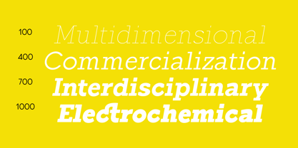 ST Giuliano Slab Font Poster 10