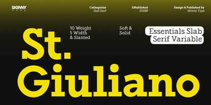 ST Giuliano Slab Font Poster 1