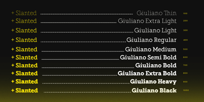 ST Giuliano Slab Font Poster 2