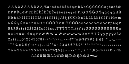 ST Giuliano Slab Font Poster 12