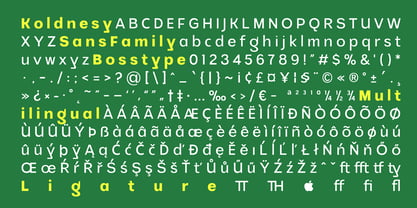 Koldnesy Font Poster 15