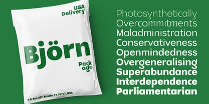 Koldnesy Font Poster 6