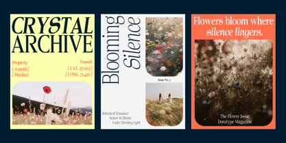 Norche Font Poster 10