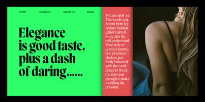 Blacklady Font Poster 7