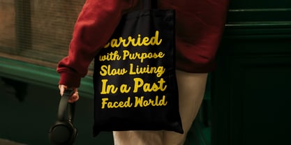 Mellow Script Font Poster 7