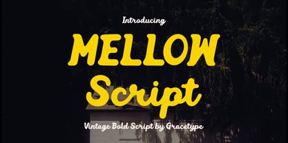 Mellow Script Font Poster 1