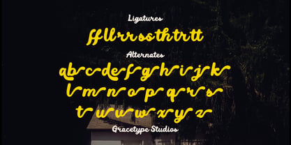 Mellow Script Font Poster 12