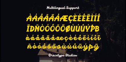 Mellow Script Font Poster 11