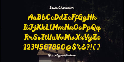 Mellow Script Font Poster 10