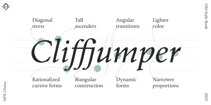 APN Chora Font Poster 11