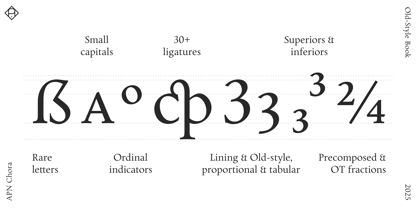 APN Chora Font Poster 14