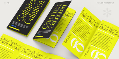 Galmiten Semi Serif Font Poster 5