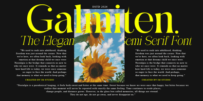 Galmiten Semi Serif Font Poster 8