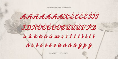 Signage Heritage Font Poster 11