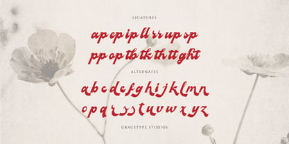 Signage Heritage Font Poster 12