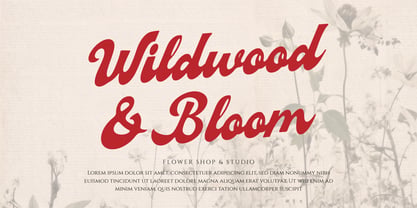 Signage Heritage Font Poster 2