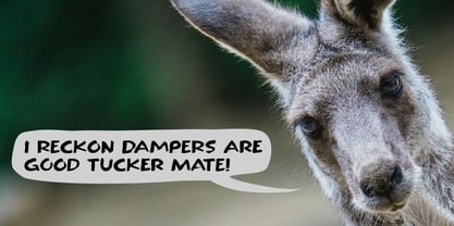 Outback Damper Pro Font Poster 2