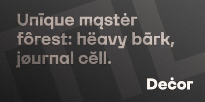 Magnes Font Poster 7