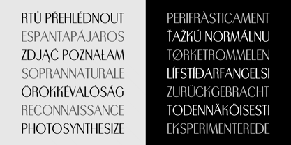 Trio CT Font Poster 9