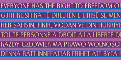 Trio CT Font Poster 15