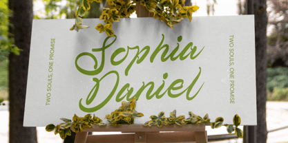 Telmi Bonsha Font Poster 10