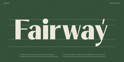 Mediate Font Poster 9