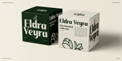 Mediate Font Poster 4