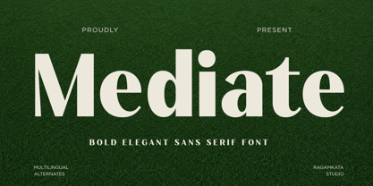 Mediate Font Poster 1
