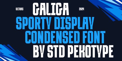 Galiga Font Poster 2