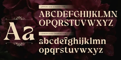 Monkade Font Poster 3