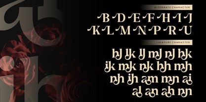Monkade Font Poster 5