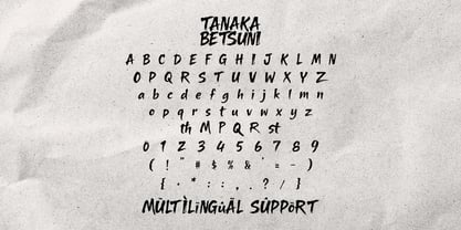 Tanaka Betsuni Font Poster 5