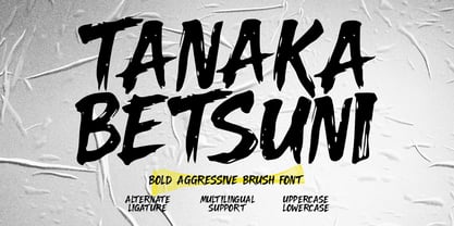 Tanaka Betsuni Font Poster 1