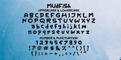 Mudfish Font Poster 5