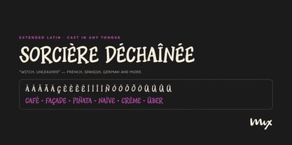 Mix Witchmark Font Poster 11