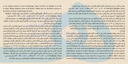 Basseet Naaem Font Poster 7