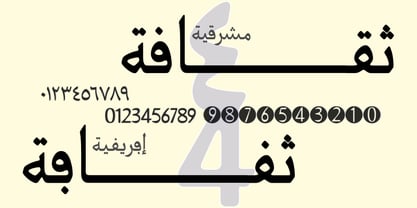 Basseet Naaem Font Poster 2