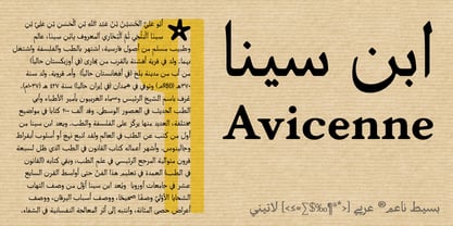 Basseet Naaem Font Poster 4