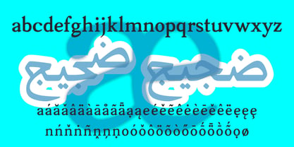 Basseet Naaem Font Poster 6