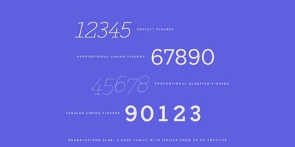 Bramblestone Slab Font Poster 11