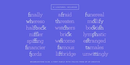 Bramblestone Slab Font Poster 4