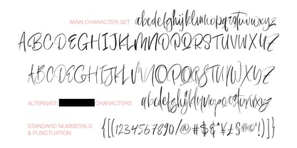 Charlotte Garling Font Poster 15